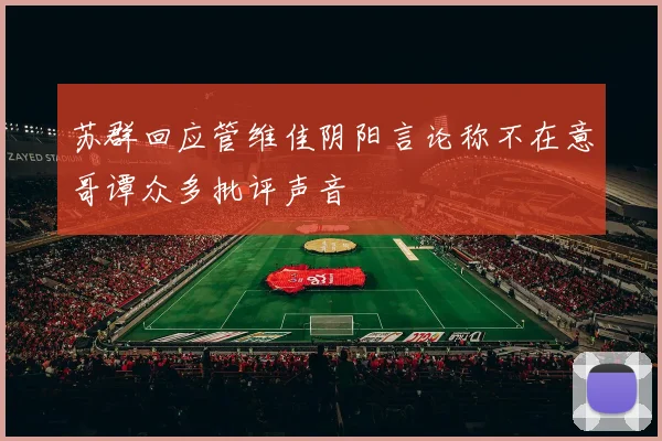 苏群回应管维佳阴阳言论称不在意哥谭众多批评声音