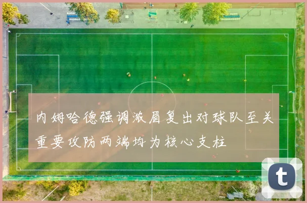 内姆哈德强调浓眉复出对球队至关重要攻防两端均为核心支柱